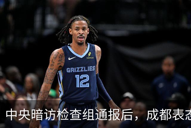 中央暗访检查组通报后，成都表态：已立案调查，拟顶格处罚