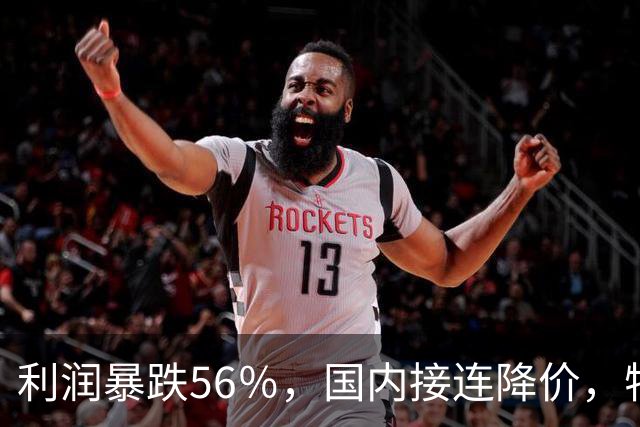 利润暴跌56％，国内接连降价，特斯拉的中国智驾何时兑现？