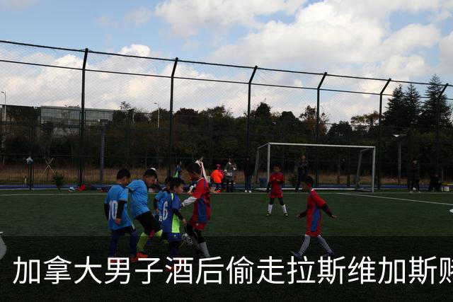 加拿大男子酒后偷走拉斯维加斯赌场火烈鸟，自称喝了30到40瓶啤酒；陪审团裁定其虐待动物罪成立，或面临近5年监禁