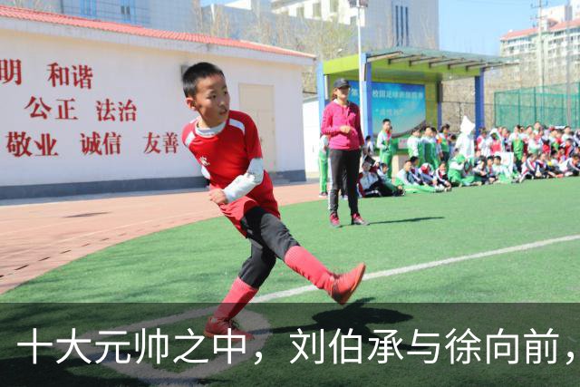 十大元帅之中，刘伯承与徐向前，读懂这份沉默的信任