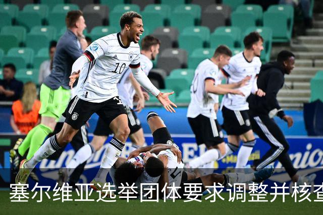 塞尔维亚选举团体要求调整并核查公共机构