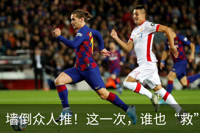 墙倒众人推！这一次，谁也“救”不了落井下石被“反噬”的杨议