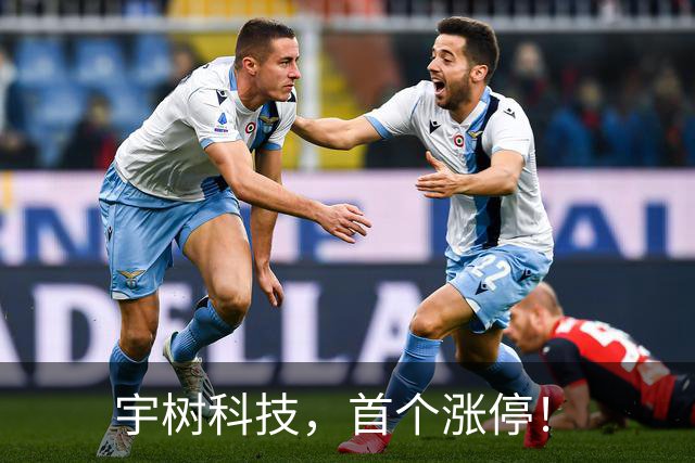 宇树科技，首个涨停！