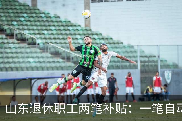 山东退休职工两笔补贴：一笔自动发，一笔要主动申