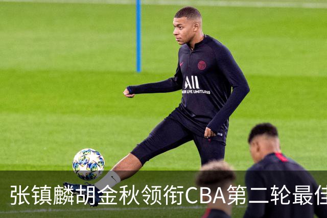 张镇麟胡金秋领衔CBA第二轮最佳阵容 付豪篮板称王