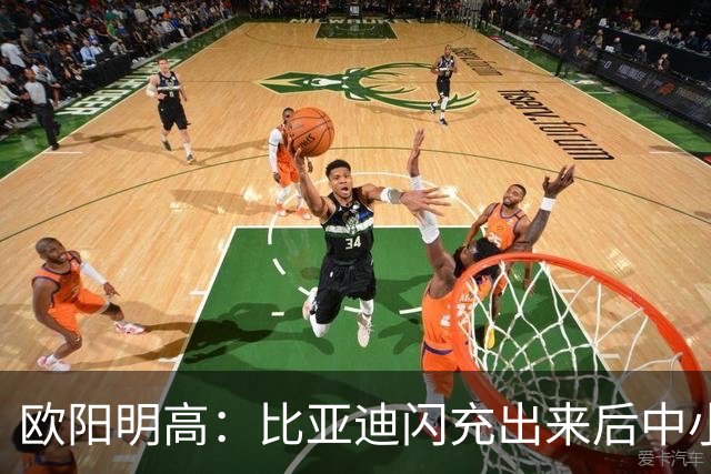 欧阳明高：比亚迪闪充出来后中小厂家、电池厂很焦虑 因为闪充投资太大