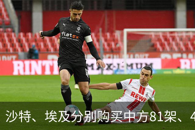 沙特、埃及分别购买中方81架、48架歼10C之事，已查证真伪