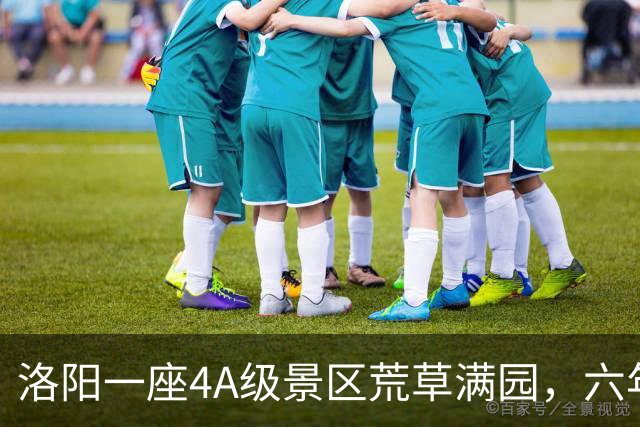 洛阳一座4A级景区荒草满园，六年五次拆除调查：运营方认为相关拆除行为属于强制拆除，管委会称拆除的是占用耕地的违法建设