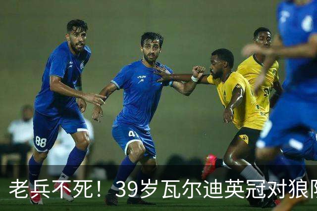 老兵不死！39岁瓦尔迪英冠对狼队破门，生涯至今连续20个赛季进球