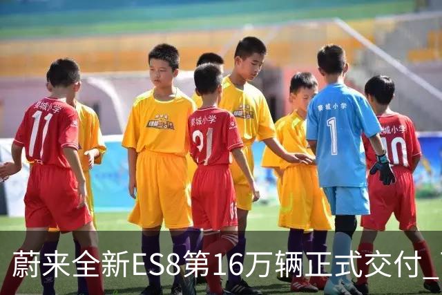 蔚来全新ES8第16万辆正式交付 两个细分市场均夺冠