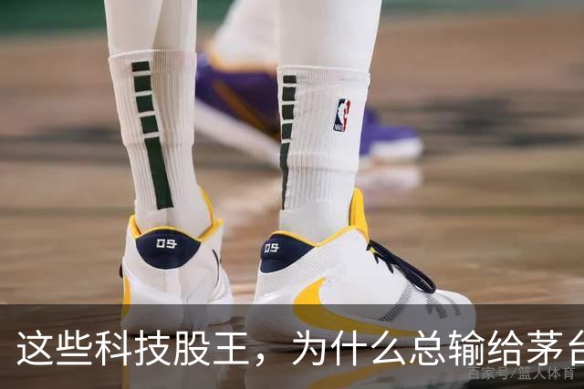 这些科技股王，为什么总输给茅台？