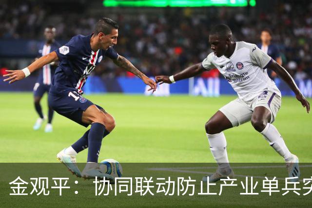 金观平：协同联动防止产业单兵突进——把握好发展新质生产力实践的总要求②